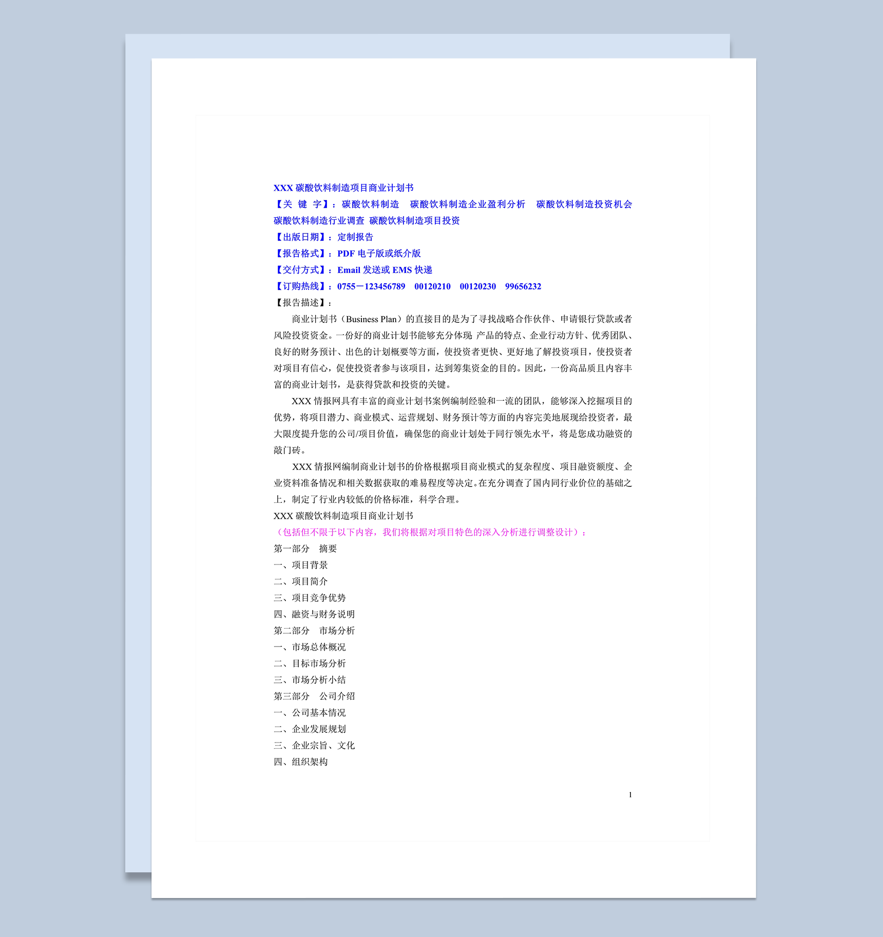 中国碳酸饮料制造项目商业计划书word模板