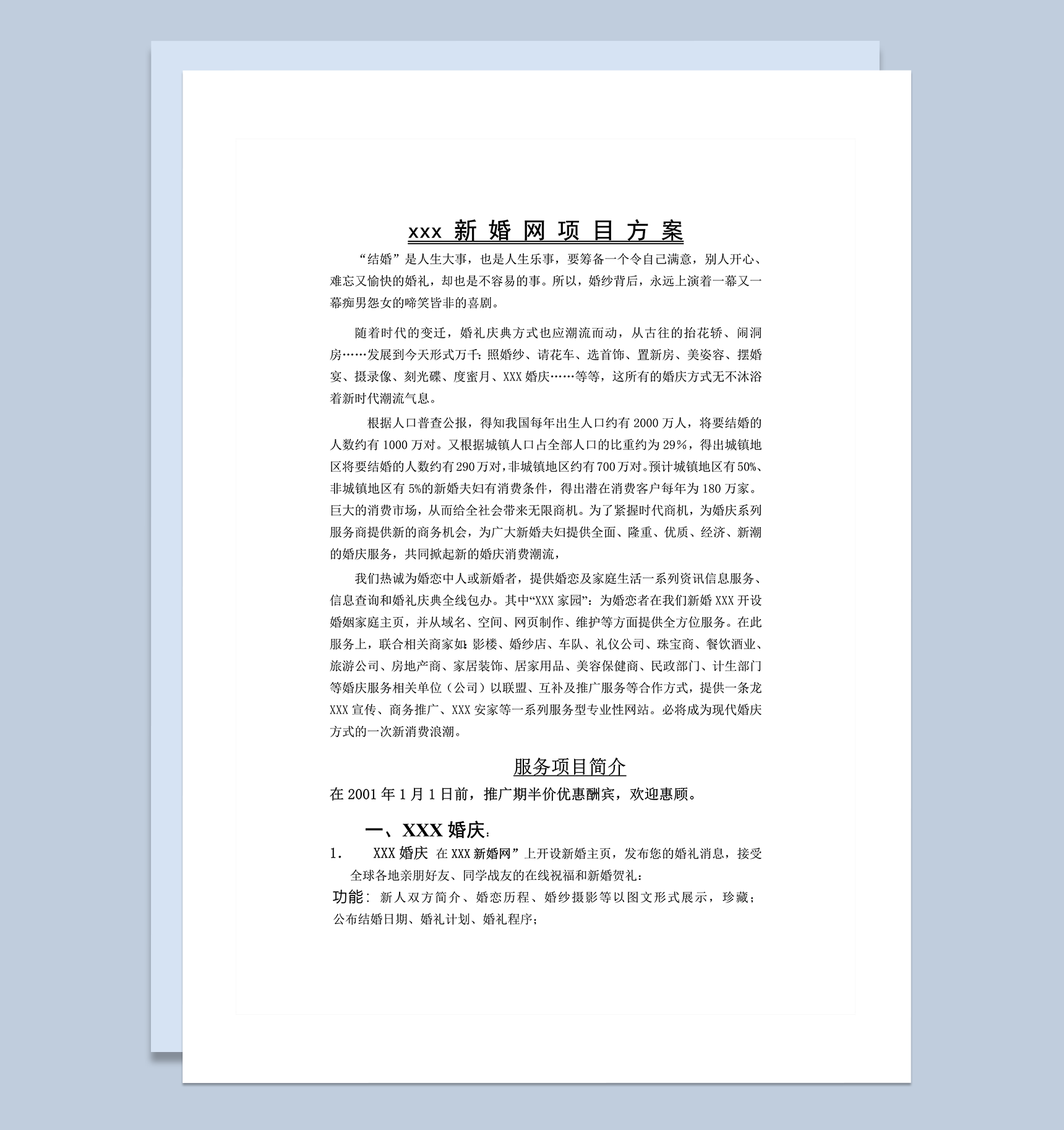 中国新婚网项目方案word模板